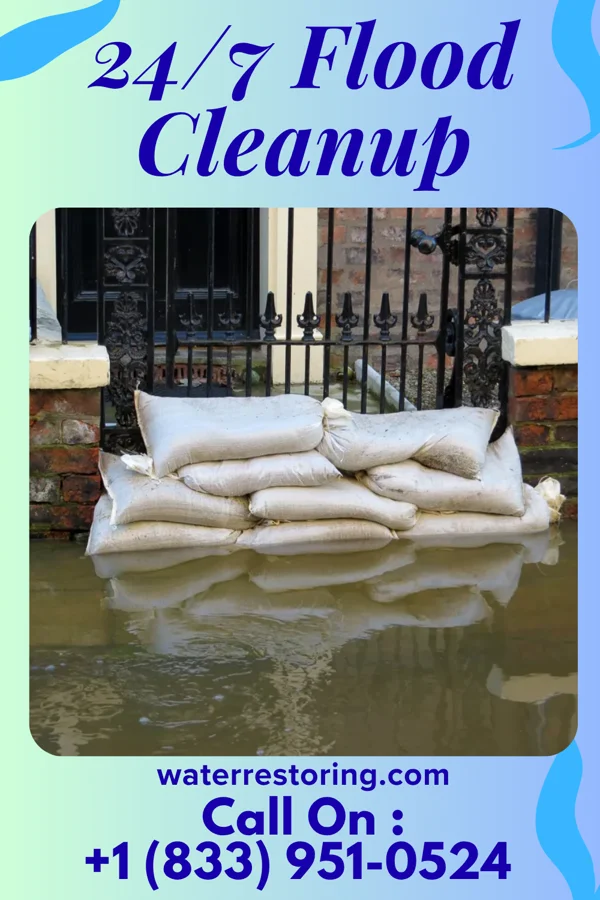 24/7 Flood Cleanup in Bluffview, WI
