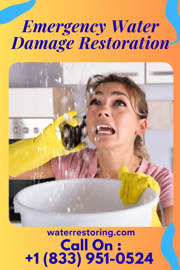 Emergency Water Damage Restoration in Bluffview, WI