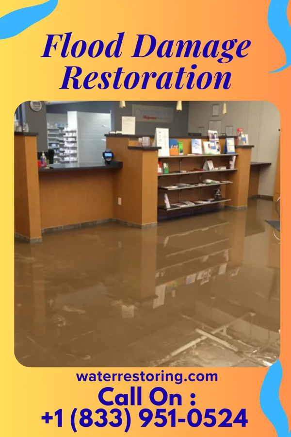 Flood Damage Restoration in Bluffview, WI
