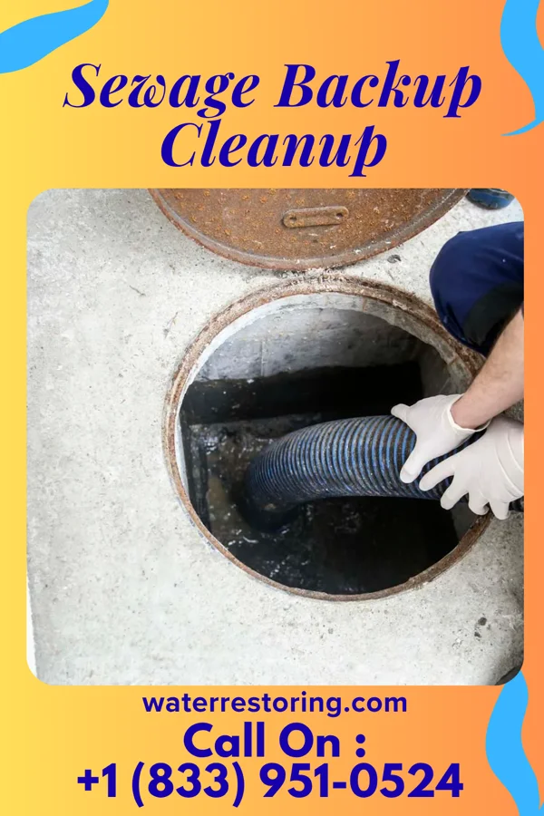 Sewage Backup Cleanup in Bluffview, WI
