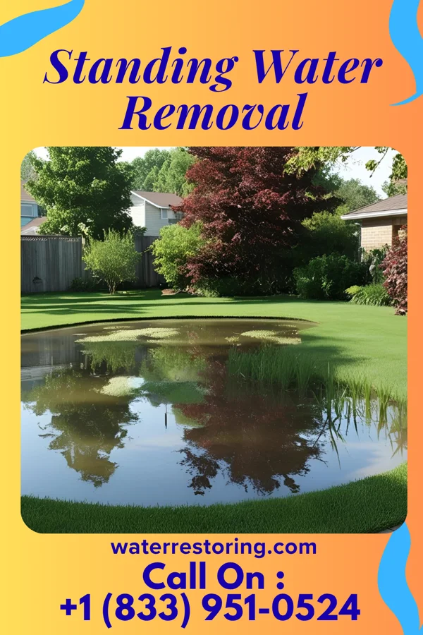 Standing Water Removal in Bluffview, WI